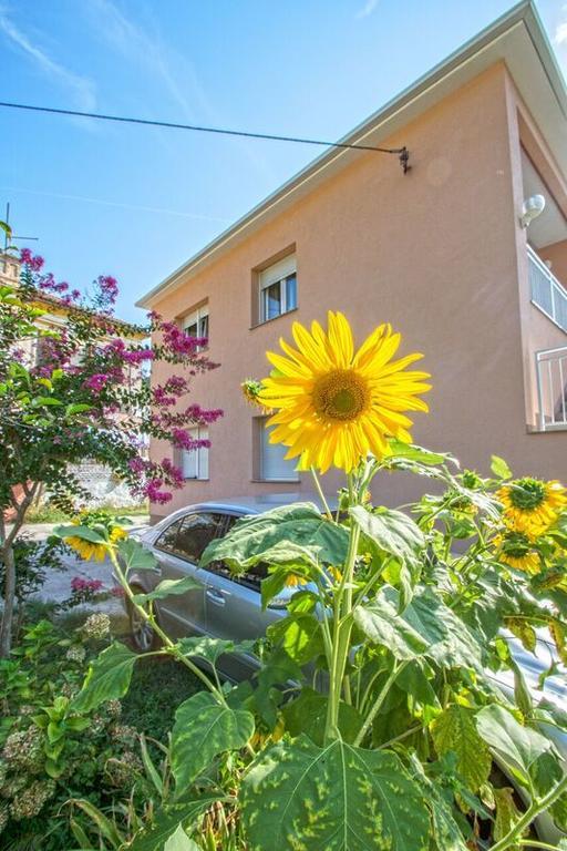 Apartman Nena Crikvenica Buitenkant foto